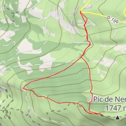 thumbnail for Pic de Nerbiou, par la piste forestière